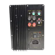 Heavy Subwoofer Digital Power Amplifier Board Active Power Amplifier 110V~220V