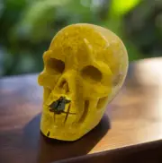 Authentic High Quality Bumble Bee Jasper Skull Head 137 grams
