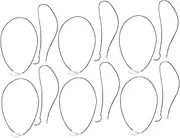 COHEALI 10Pcs Multi Function Necklace Cord with Lobster Clasp Waxed Necklace String for DIY Jewelry Making for Pendants and Bracelets