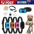 Anti Bark Collar Stop Dog Barking Sound Rechargeable Dog Collar Training Device