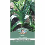 Mr Fothergill's Leek Elephant Vegetable Seeds