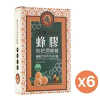 在飛比找Viva TV優惠-【珍田】蜂膠枇杷潤喉糖200g/盒(6入組)