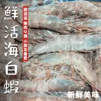 在飛比找蝦皮購物優惠-【潮鮮世代】尼加拉瓜海白蝦60/70