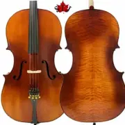 SONG maestro Copy of 1724 Yo-Yo Ma sleeping 4/4,huge and powerful sound #15056