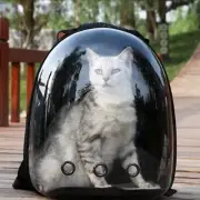 Pet Backpacks Portable Transparent Space Capsules Cat Supplies Breathable