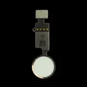 iPhone 7/7 Plus/8/8 Plus Universal Home Button with Return Function Rose