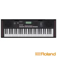 在飛比找蝦皮購物優惠-Roland E-X10 61鍵 自動伴奏電子琴【又昇樂器.