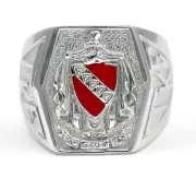 Tau Kappa Epsilon Fraternity Crest ring with RED enamel / Fraternity Rings / NEW