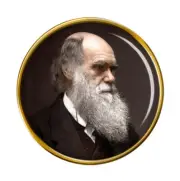 Charles Darwin Pin Badge