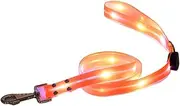 Light up Dog Collar for Night Walking - 3 Lighting Modes Dog Led Necklace - Adjustable Luminous Collar for Small, Medium, and Large Breeds