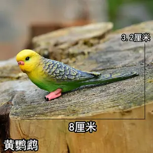 仿真野生動物模型實心飛鳥類微景觀兒童玩具飛禽老鷹鸚鵡天鵝環保