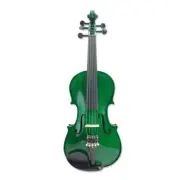 Electric Violin 4/4 Acoustic Violin 5 String Maple Spruce Ebony parts nice tone