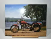2005 Harley Davidson sales brochure FXST Softail Standard H1