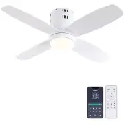 Ohniyou Ceiling Fan with Lights - 38'' Small Low Profile Ceiling Fans Remote ...
