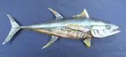 Tuna Metal Sealife hand crafted Wall Art Decor