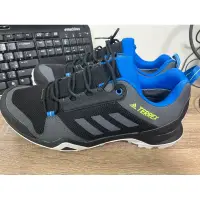 在飛比找蝦皮購物優惠-免運費Adidas Terrex GORE-TEX  男鞋 