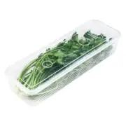 Durable PP Materials Storage Box Rectangular For Garlic Gingers Scallions