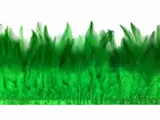 1 Yard - Green Rooster Neck Hackle Saddle Feather Wholesale Trim Craft Supply
