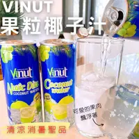 在飛比找蝦皮購物優惠-Vinut-果粒椰子汁｜椰子｜果粒｜下午茶｜飲料｜消暑｜夏日