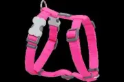 Red Dingo DH-ZZ-HP-20 Dog Harness Classic Hot Pink- Medium