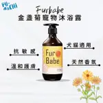 【PU-CHI撲吃】FURBABE｜毛小孩 寵物 狗 貓 沐浴露 - 金盞菊 脆弱 敏感肌、抗敏配方 除臭 洗毛精