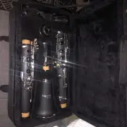 Medini By Cecilio Bb Clarinet with case, Clarinet Stand, Mouthpiece & 10 Reeds.