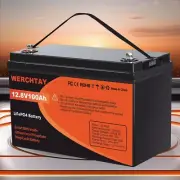 12V 100Ah Lithium Iron Phosphate Battery LiFePO4 Cycles Camping Rechargeable RV