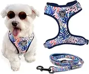 2-Piece Walkies Bundle [Pipco Pets] - Adjustable Dog Harness + Lead | Cute Colourful Patterns | Safe and Secure | (L, Tropic Fronds)