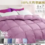 冬被被胎【優の家居】台灣製100%天然水鳥雙人羽絨被 -6X7尺 冬季保暖蓬鬆輕盈不跑毛 棉被 羽絲絨被~ 桃園