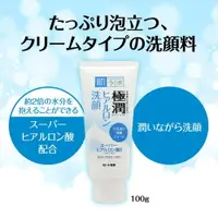 在飛比找樂天市場購物網優惠-日本 ROHTO 極潤 洗面乳 100g