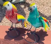 Metal Parrot Bird Yard Art Garden Decor