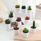 Desk Decoration Artificial Succulent Bonsai Fake Plants Mini Bonsai Office