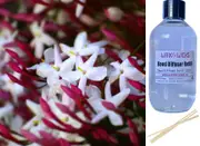 Pink Jasmine & Violet - Reed Diffuser Refill