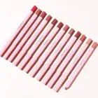 Waterproof Lipstick Lip Liner Long-Lasting Matte Velvet Lipliner Pencil Makeu Bk