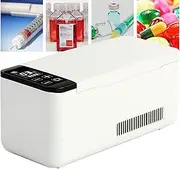 Portable Insulin Cooler Refrigerated Box, Large Capacity Medicine Refrigerator with USB Charging, Car Small Refrigerator Mini Drug Constant Temperature Refrigerator (Color : 2 Battery)