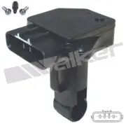 WHITECAP IND SOCKET & CAP ONLY BLACK NYLON- S-8072C