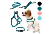 PIPCO PETS SuperLite Bundle - Lightweight Harness, Collar, and Leads for Small Dogs and Cats (Deep Teal)