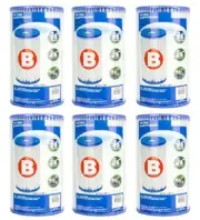 Intex Type B Replacement Pool Cartirdges for 2500GPH Cartridge Filter Pump