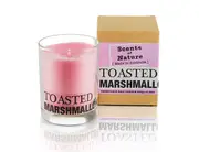 Scents of Nature by Tilley Soy Candle - Toasted Marshmallow