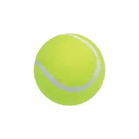 在飛比找蝦皮購物優惠-硬式網球 網球 壁球 特波士 練習球 練習用球 訓練用 成功