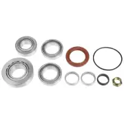 Diff Bearing & Seal Kit for Ford F6 Typhoon FPV BF 6cyl 4.0L F6270 Sedan M86 IRS