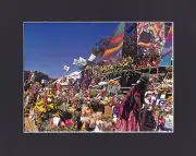 8X10" Matted Print Picture, Grateful Dead: 1995, Jerry Garcia Memorial