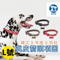 在飛比找momo購物網優惠-【美好寵商】DOGNESS多尼斯 真皮系列箭頭項圈_L號(狗