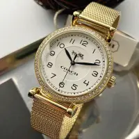 在飛比找momo購物網優惠-【COACH】COACH手錶型號CH00061(白色錶面金色