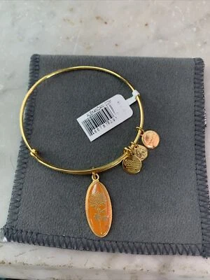 Alex And Ani Youth Bracelet NWT Never Worn
