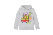 Teenage Mutant Ninja Turtles Childrens/Kids Shell Skater Hoodie (Grey Marl) - UTNS8264
