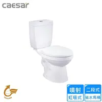 在飛比找momo購物網優惠-【CAESAR 凱撒衛浴】二段式省水馬桶/管距40(CF14