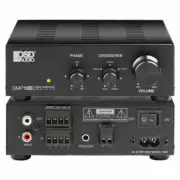 100W Digital Subwoofer Amplifier Compact Design 4Ohm Stable Class D SMP100
