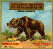 Ontario Nucleus Grizzly Brown Bear Orange Citrus Fruit Crate Label Art Print