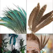Pheasant/Peacock Natural Tail Feathers Arts Crafts Hat Costume Wedding Fly 10x